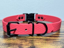 Hexa obojek s trojzubcem, černé komponenty magenta
