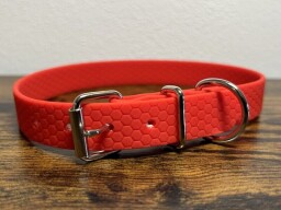 Obojek s přeskou - stříbrné kování