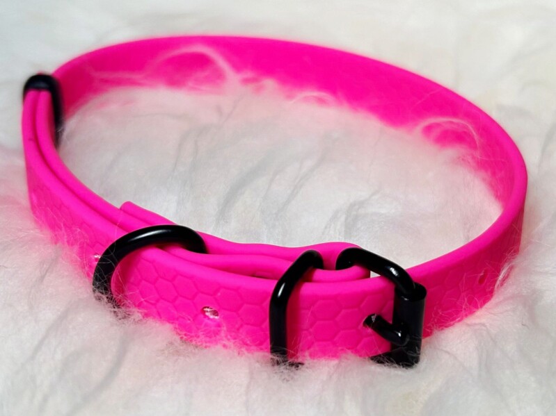 Obojek s přeskou - stříbrné kování