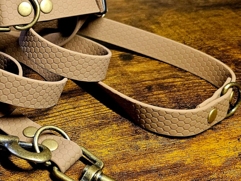 Obojek s přeskou - černé kování