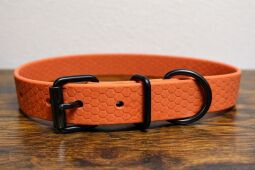 Obojek s přeskou - černé kování