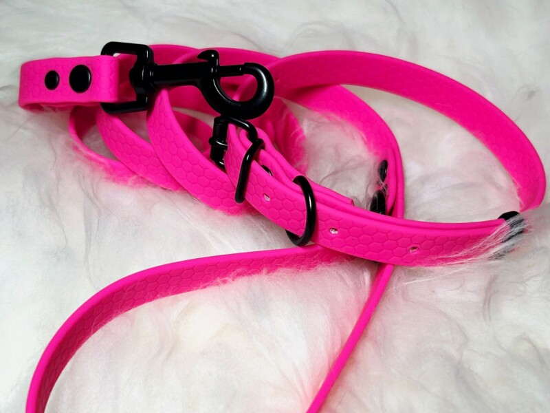 Set pro štěně BASIC