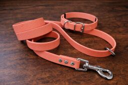 Set pro štěně BASIC