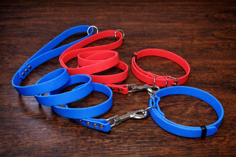 Set pro štěně BASIC