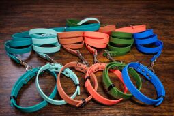 Set pro štěně BASIC