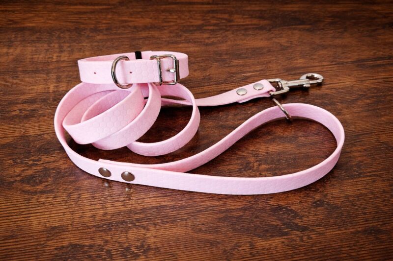 Set pro štěně BASIC