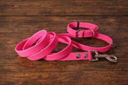 Set pro štěně BASIC