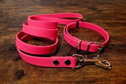 Set pro štěně BASIC