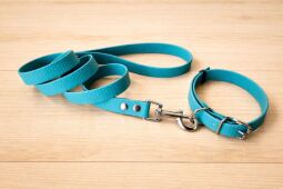 Set pro štěně BASIC - vodítko + obojek s přezkou