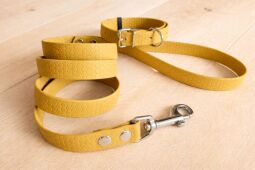 Set pro štěně BASIC - vodítko + obojek s přezkou