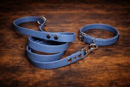 Set pro štěně BASIC - vodítko + obojek s přezkou