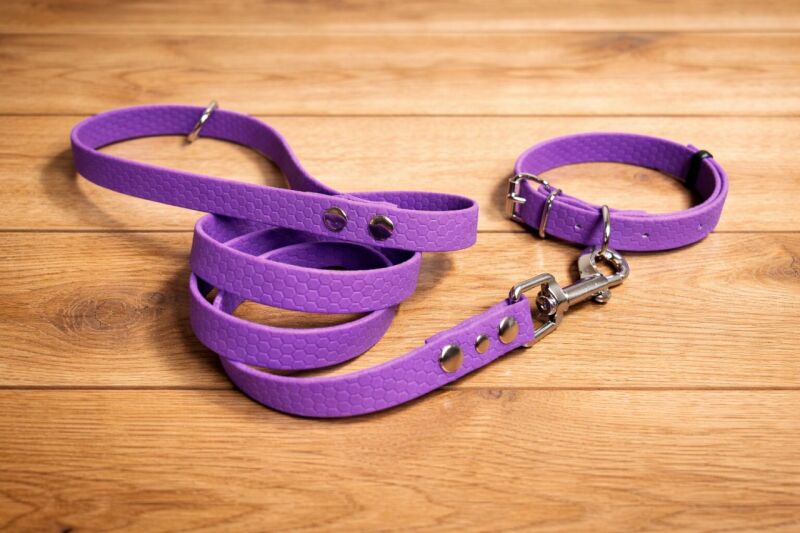 Set pro štěně BASIC - vodítko + obojek s přezkou