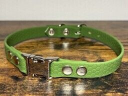 Hexa obojek s trojzubcem zelený