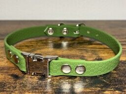 Hexa obojek s trojzubcem zelený