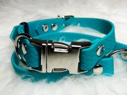 Hexa obojek s trojzubcem modrozelený