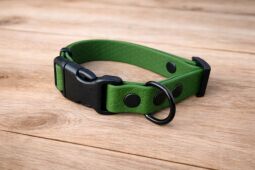 Set pro štěně KLIK - vodítko + obojek s plastovým trojzubcem