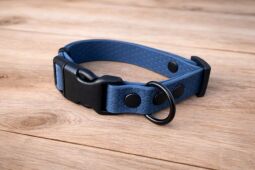 Set pro štěně KLIK - vodítko + obojek s plastovým trojzubcem