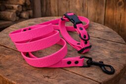 Set pro štěně KLIK - vodítko + obojek s plastovým trojzubcem