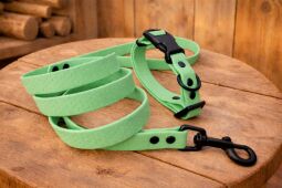 Set pro štěně KLIK - vodítko + obojek s plastovým trojzubcem