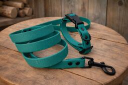 Set pro štěně KLIK - vodítko + obojek s plastovým trojzubcem