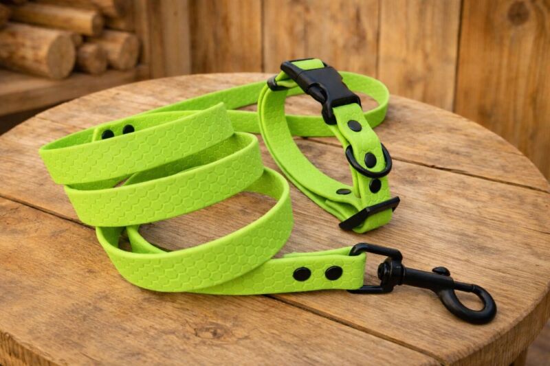 Set pro štěně KLIK - vodítko + obojek s plastovým trojzubcem