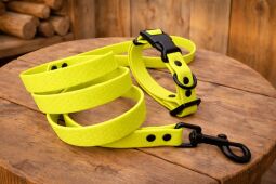 Set pro štěně KLIK - vodítko + obojek s plastovým trojzubcem