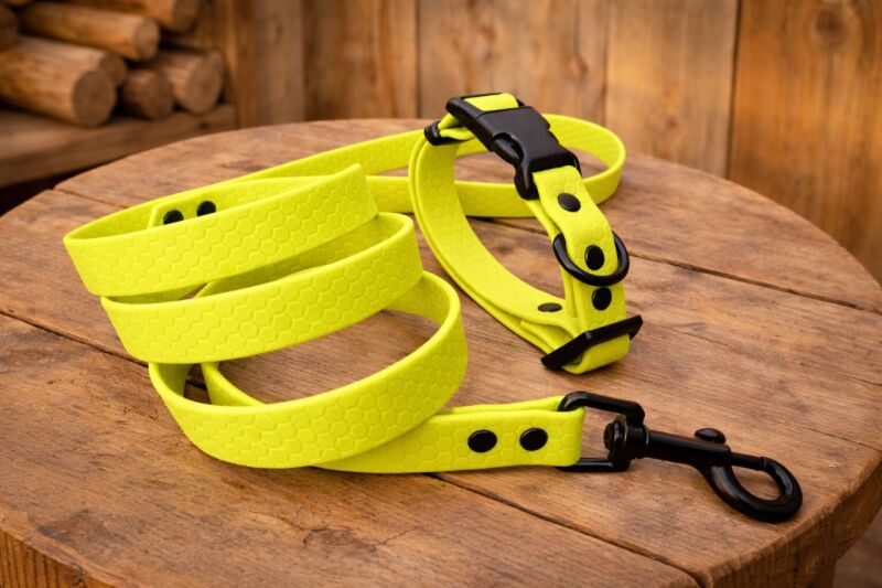 Set pro štěně KLIK - vodítko + obojek s plastovým trojzubcem