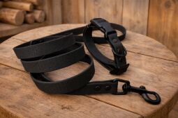 Set pro štěně KLIK - vodítko + obojek s plastovým trojzubcem