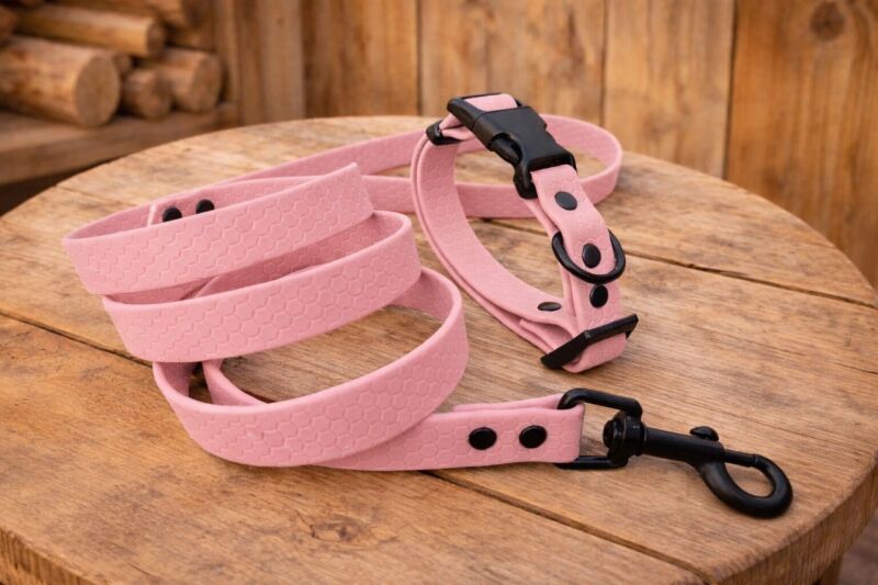 Set pro štěně KLIK - vodítko + obojek s plastovým trojzubcem