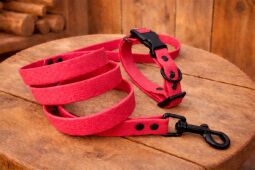 Set pro štěně KLIK - vodítko + obojek s plastovým trojzubcem