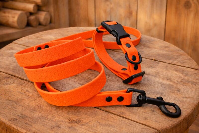 Set pro štěně KLIK - vodítko + obojek s plastovým trojzubcem