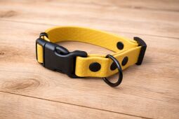 Set pro štěně KLIK - vodítko + obojek s plastovým trojzubcem