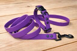 Set pro štěně KLIK - vodítko + obojek s plastovým trojzubcem