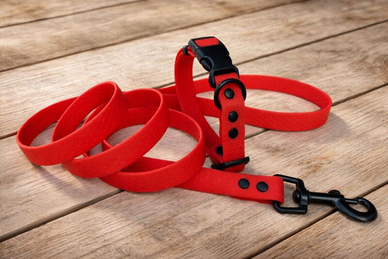 Set pro štěně KLIK - vodítko + obojek s plastovým trojzubcem