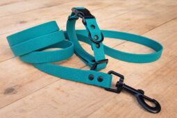 Set pro štěně KLIK - vodítko + obojek s plastovým trojzubcem