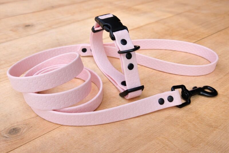 Set pro štěně KLIK - vodítko + obojek s plastovým trojzubcem