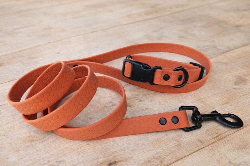 Set pro štěně KLIK - vodítko + obojek s plastovým trojzubcem