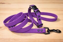 Set pro štěně KLIK - vodítko + obojek s plastovým trojzubcem