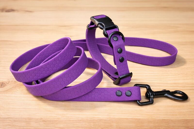 Set pro štěně KLIK - vodítko + obojek s plastovým trojzubcem